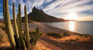 Lee más sobre el artículo Si quieres andar de pata de perro