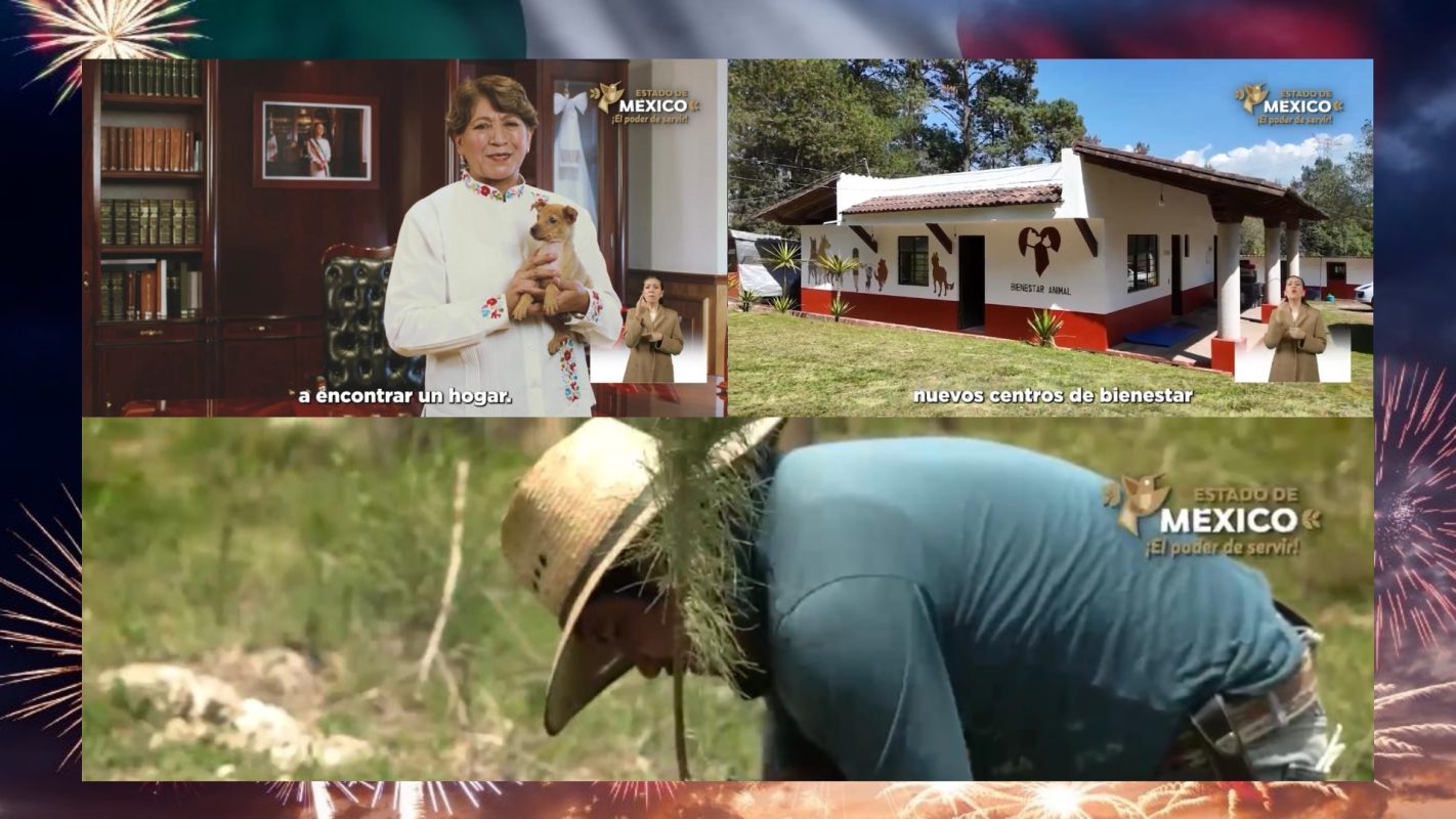 ¡2 millones de árboles y ni un árbol quemado! ¿Quién te viera, Edoméx?