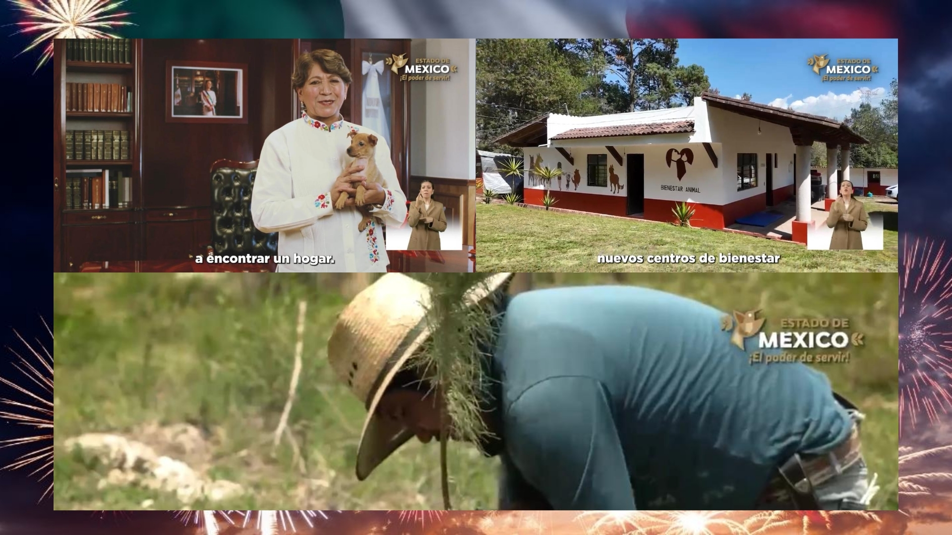 En este momento estás viendo ¡2 millones de árboles y ni un árbol quemado! ¿Quién te viera, Edoméx?