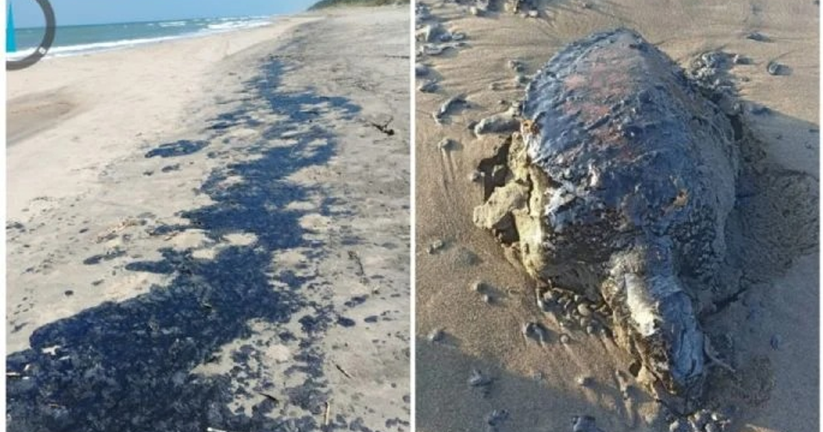 En este momento estás viendo Derrame de petróleo afecta kilómetros de costa 🛢️